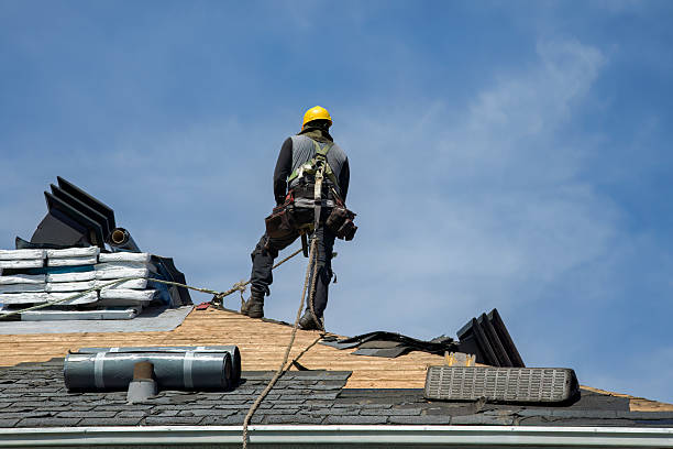 Professional Roof Replacement technician working in Adams, MN